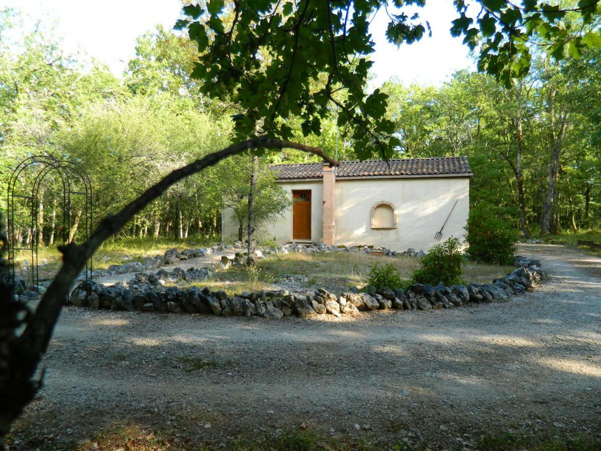Les Gites Des Dryades Vers (Lot) Exterior foto